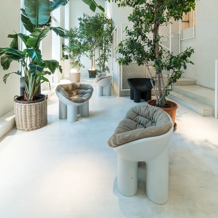 The Roly Poly Armchair from Driade in tropical ambience