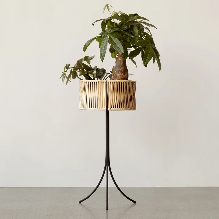 The Umanoff plant pot Ø 36.5 x H 69 cm, rattan / black ( (RAL 9005) from Audo combines steel lines with rattan