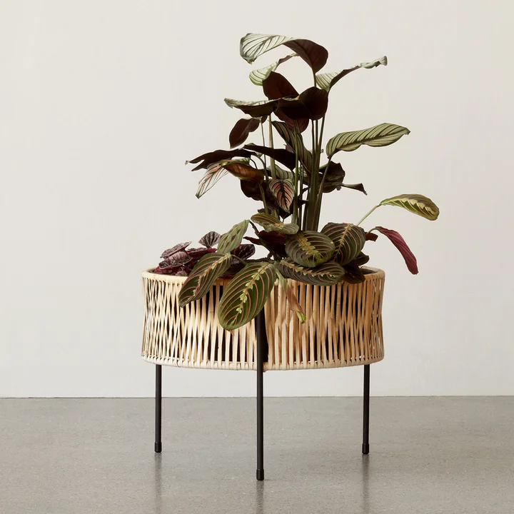 The Umanoff plant pot Ø 41 x H 32.5 cm, rattan / black ( (RAL 9005) from Audo is suitable for indoor and outdoor