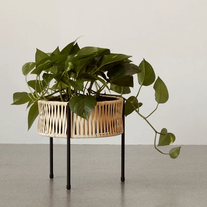 The Umanoff plant pot Ø 27 x H 27 cm, rattan / black ( (RAL 9005) from Audo was designed by Arthur Umanoff