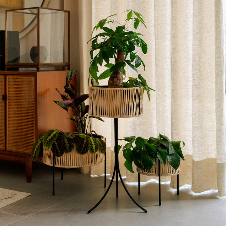 The Umanoff plant pots, rattan / black from Audo in the living room