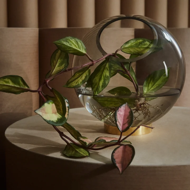 The Globe vase of AYTM filled with water and a long-stemmed plant
