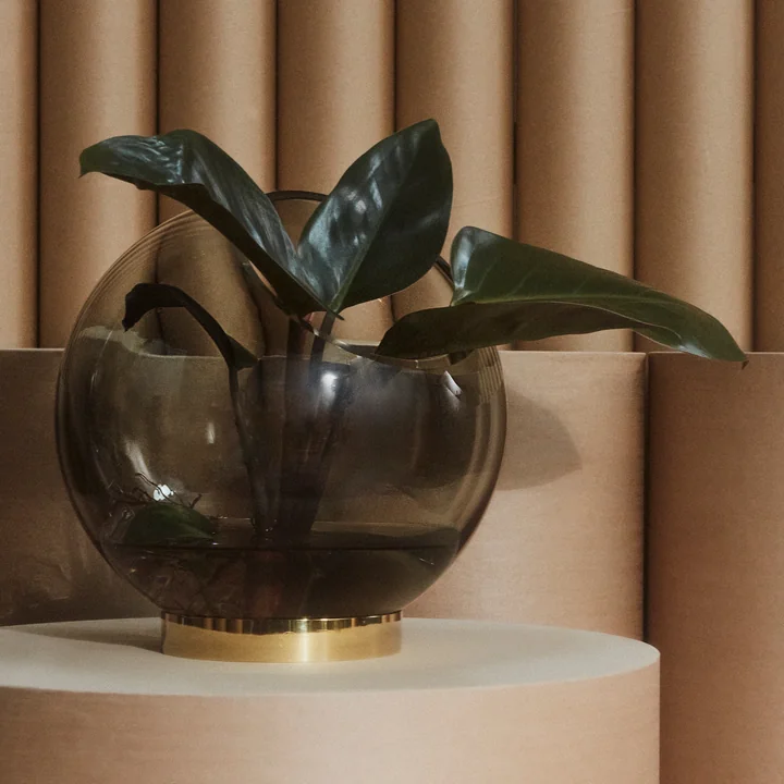 The Globe vase of AYTM filled with large-leaved plants