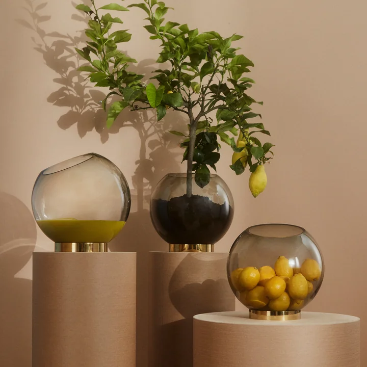 The Globe vase of AYTM filled with a lemon tree and fruits