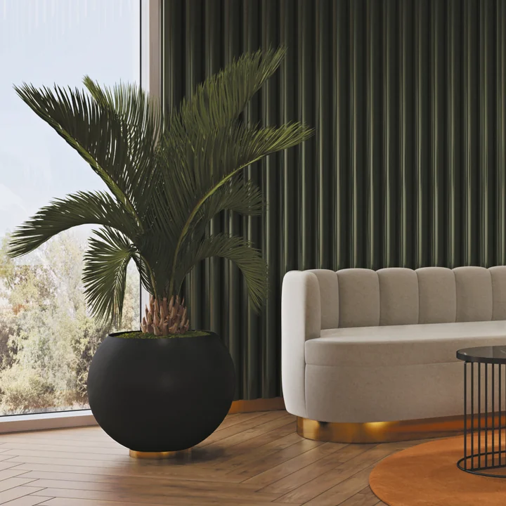 The Globe flowerpot from AYTM with a room palm next to a light couch