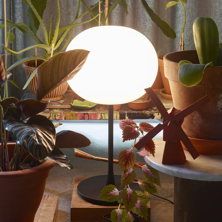 The luminous Glo-Ball table lamp T1 from Flos in black surrounded by plants