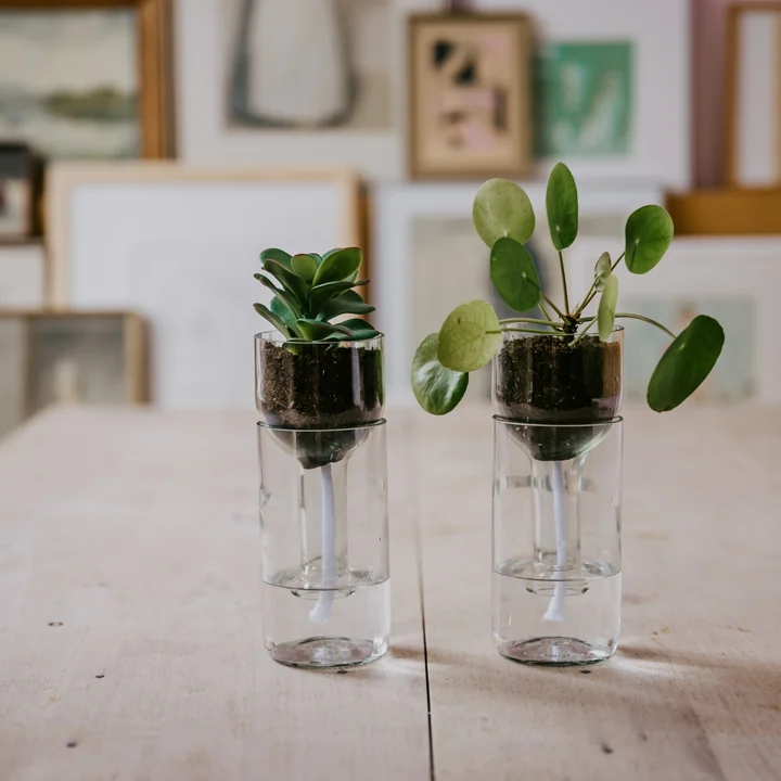 The Self Watering Bottle flower pot from side by side on a wooden table