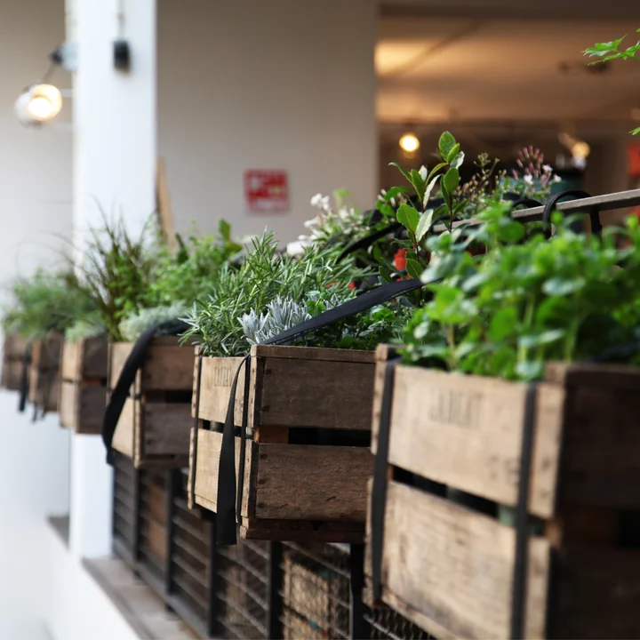 Decorative suspension for planter boxes