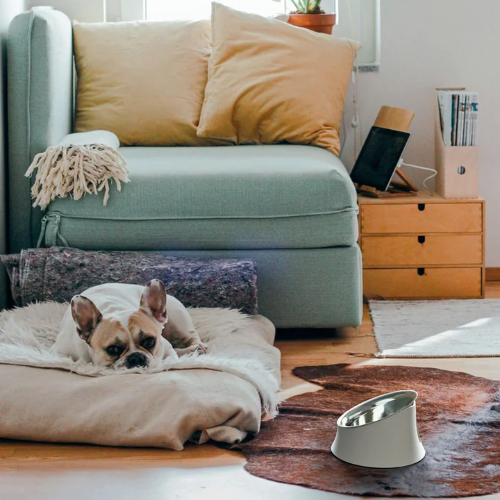 The Wowl dog bowl from Alessi in the living room next to the dog bed