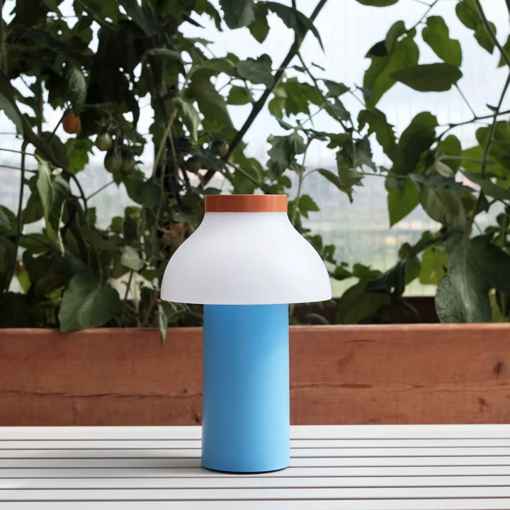 Portable LED light for indoors and outdoors