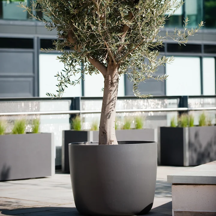 The Kyoto plant pot from Eternit on the roof terrace