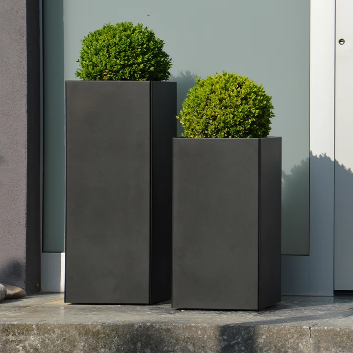 The different Planter planters from Jan Kurtz with box trees