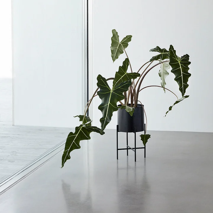 Plant pot with frame from Hübsch Interior in a set of 2