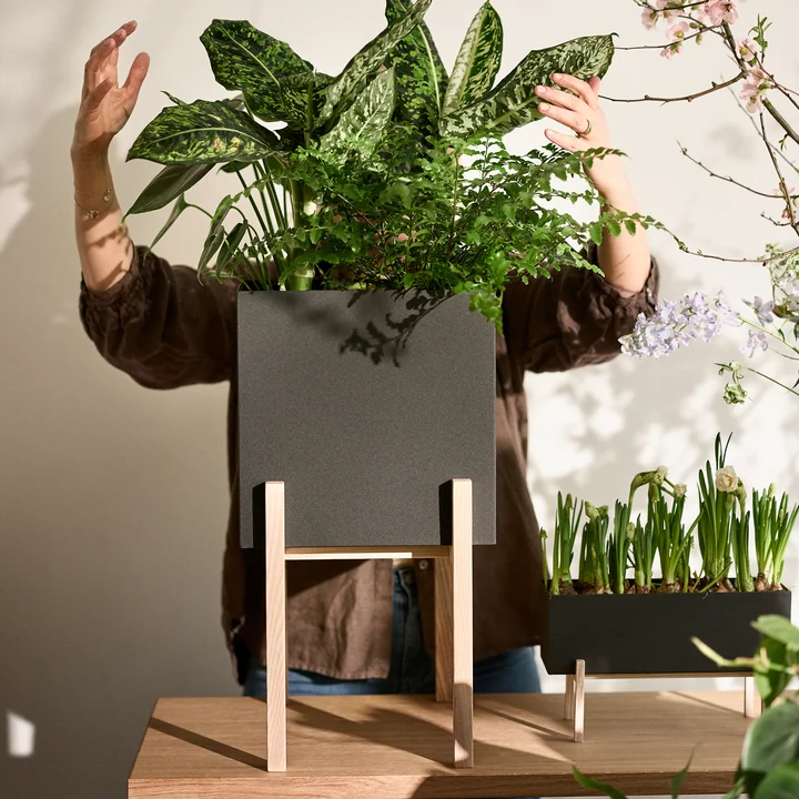 The Botanic Pedestal Pot from Design House Stockholm keeps things tidy