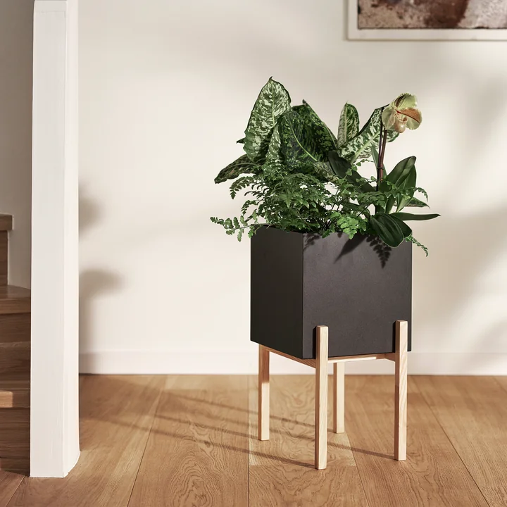 The high-contrast Botanic Pedestal Pot of Design House Stockholm
