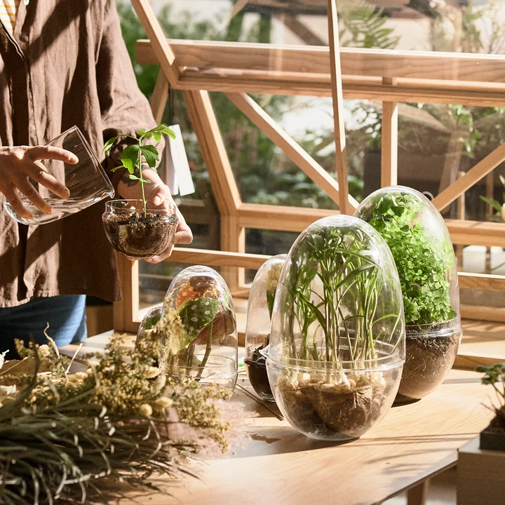 The Grow Greenhouse by Caroline Wetterling for Design House Stockholm