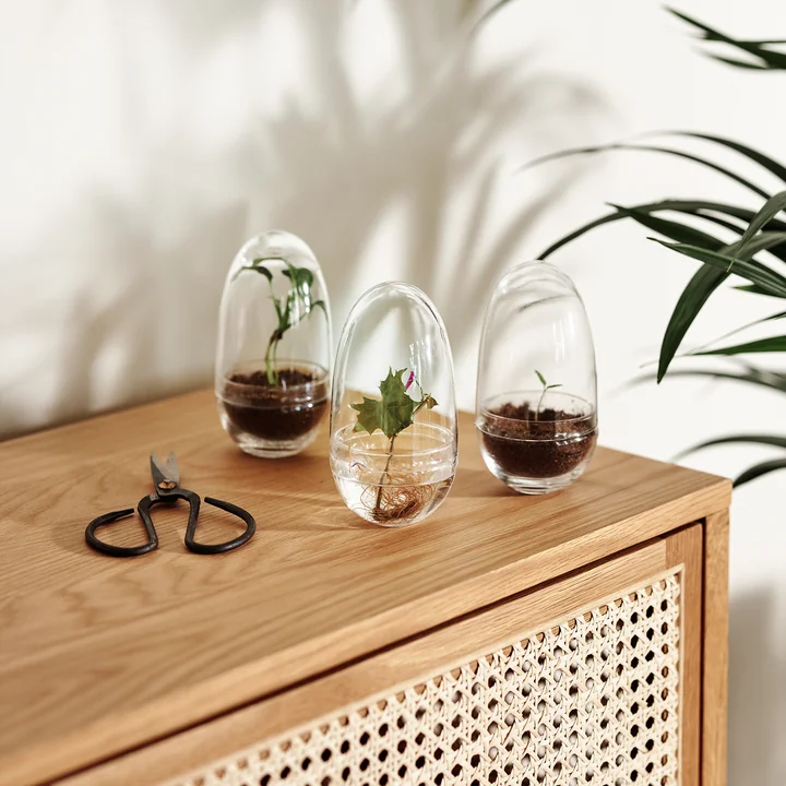 The Grow Greenhouse from Design House Stockholm as a decorative object on the sideboard