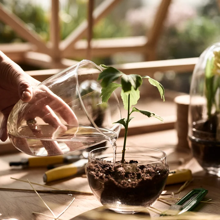 The Grow Greenhouse from Design House Stockholm with integrated watering can