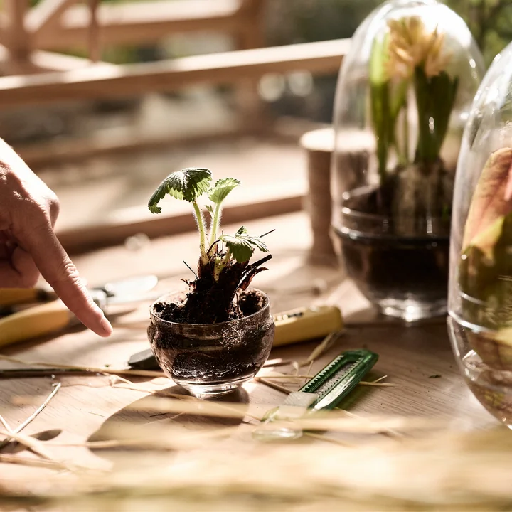 The Grow Greenhouse from Design House Stockholm with valve