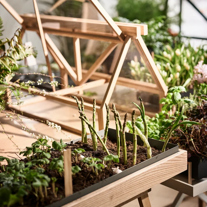 The Greenhouse of Design House Stockholm gives space to nature