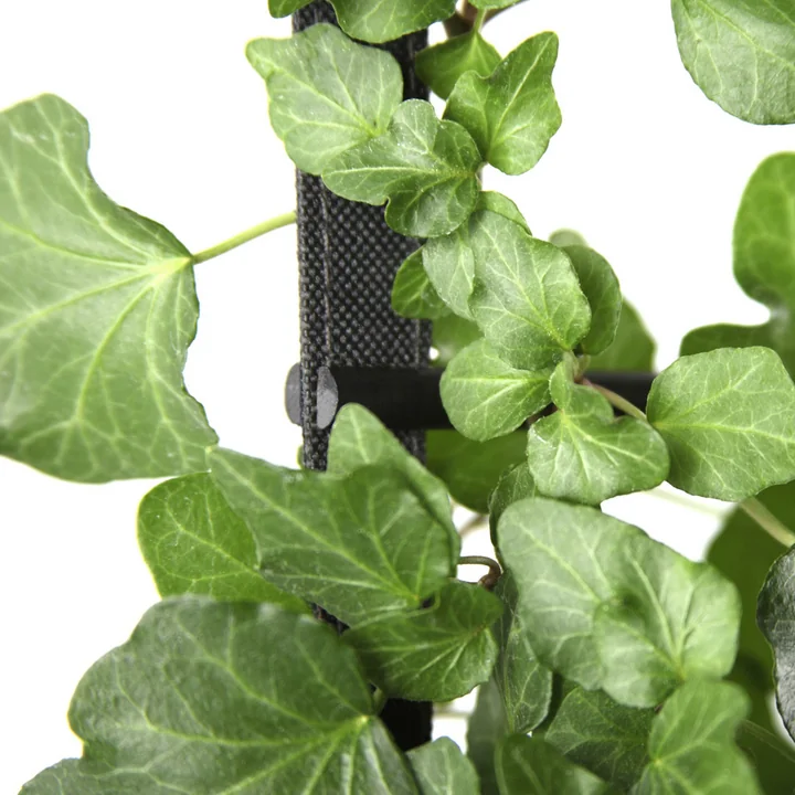 The Urban Garden plant bag from Authentics with ivy