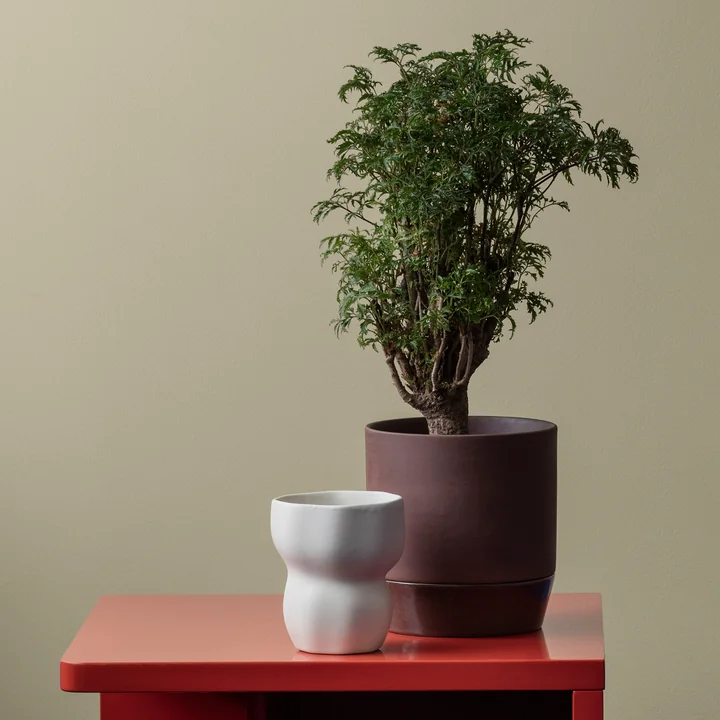 Denise Cachepot from Broste Copenhagen