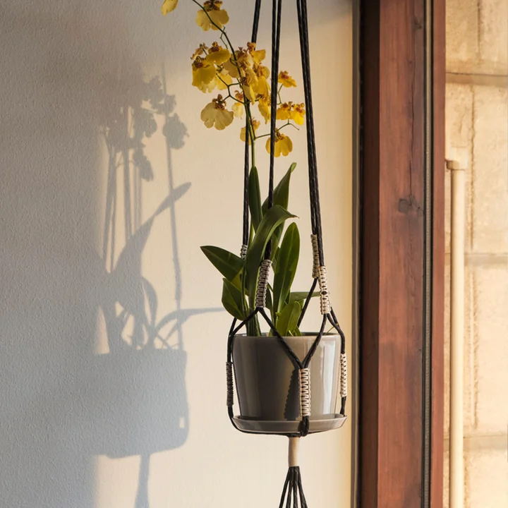 Phanta Plant hanger from HAY