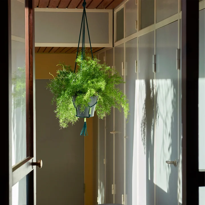 Phanta Plant hanger from HAY