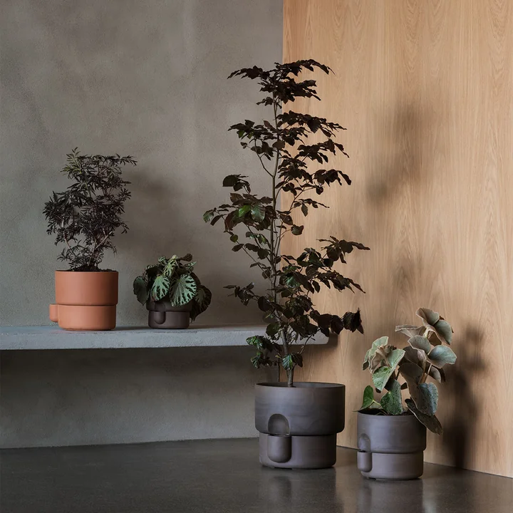 Oasis Plant pot from Northern