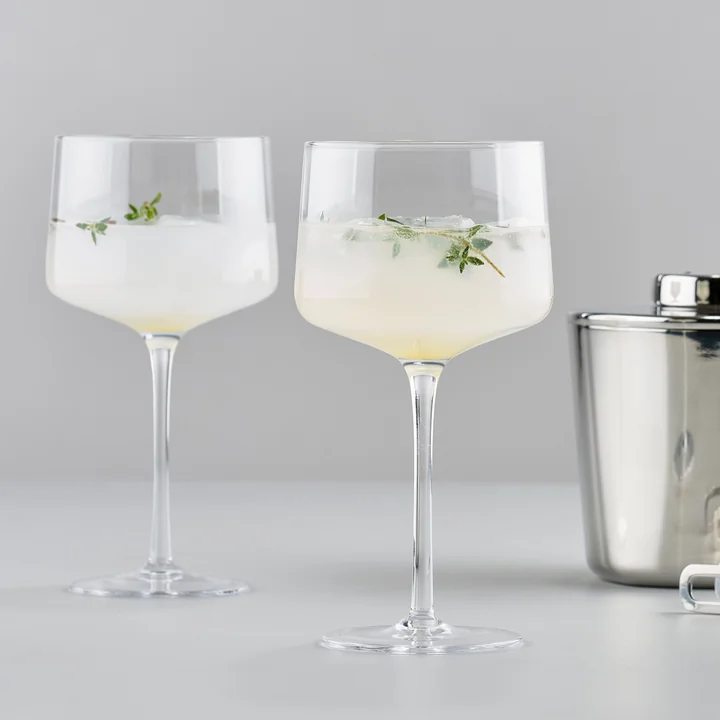 Rocks Copa Gin Tonic Glass from Zone Denmark , 47cl (Set of 2)
