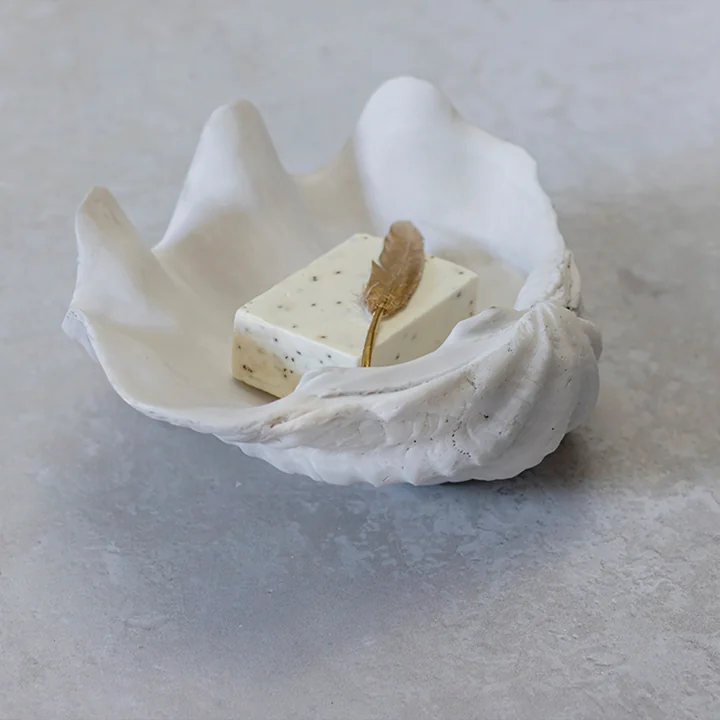 Mussel shell from Mette Ditmer
