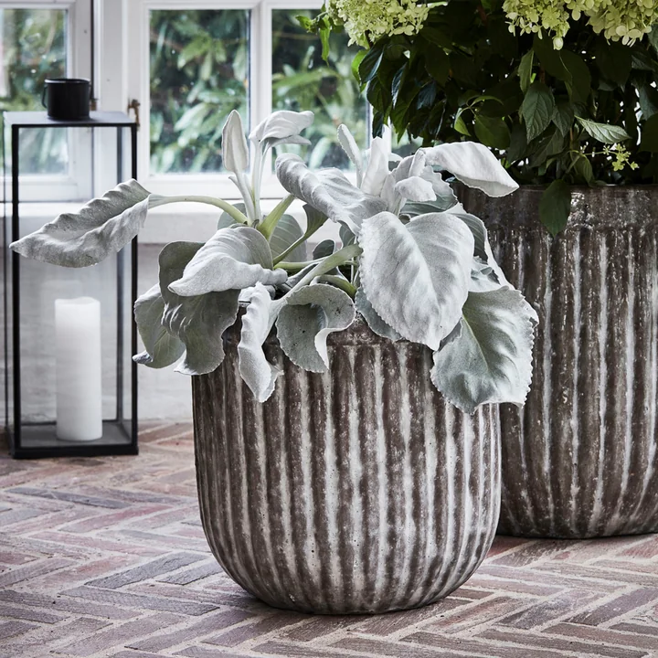 Pharao Plant pot from House Doctor