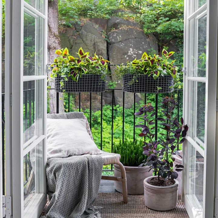 The Balcony Basket of Korbo