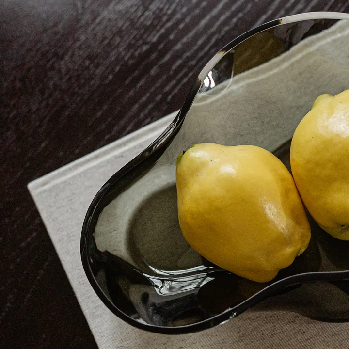 Aer Manufacturer shell Audo