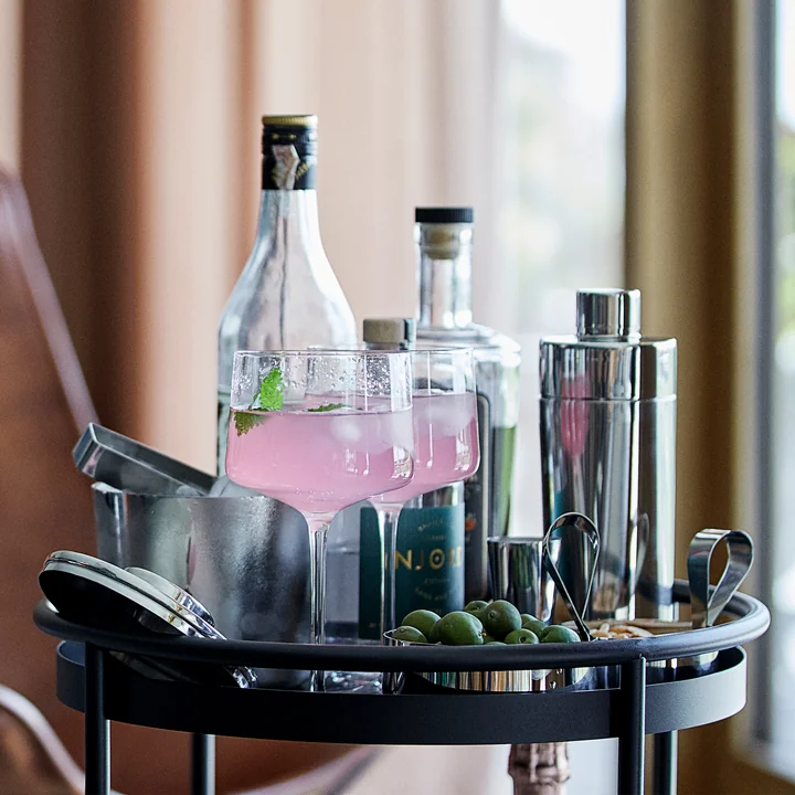 Rocks Copa Gin Tonic Glass from Zone Denmark