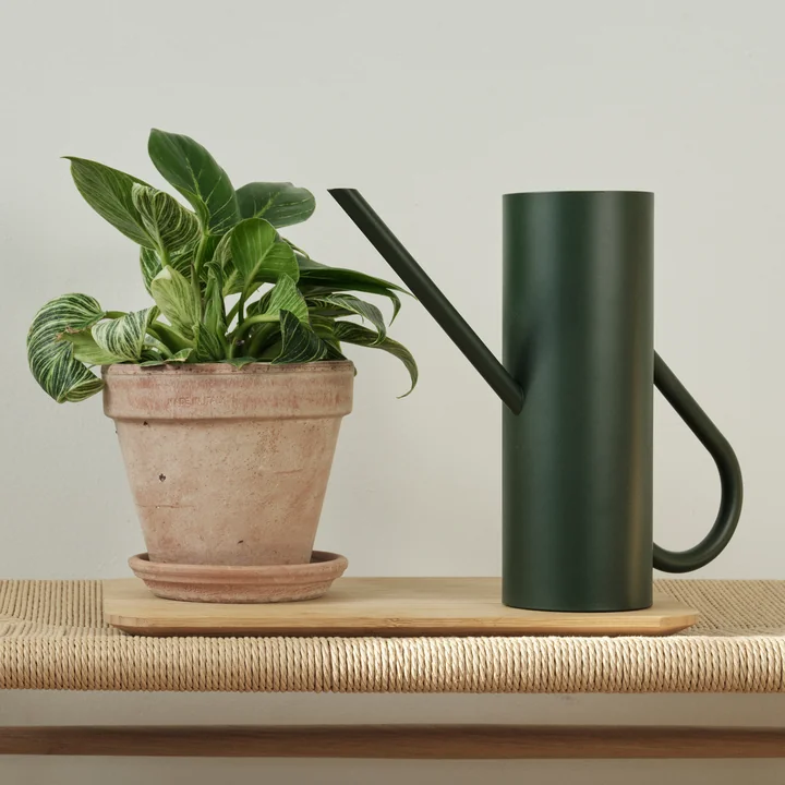 Bloom Watering can 2 l in pine from Stelton
