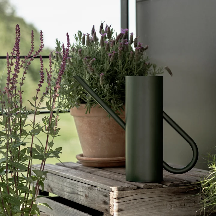 Bloom Watering can 2 l in pine from Stelton