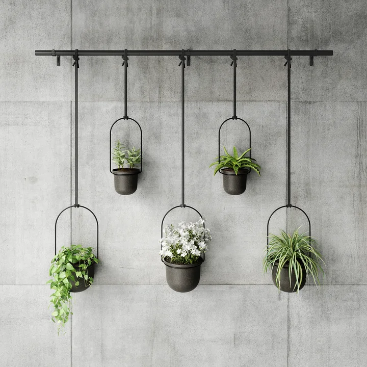 Triflora hanging basket from Umbra
