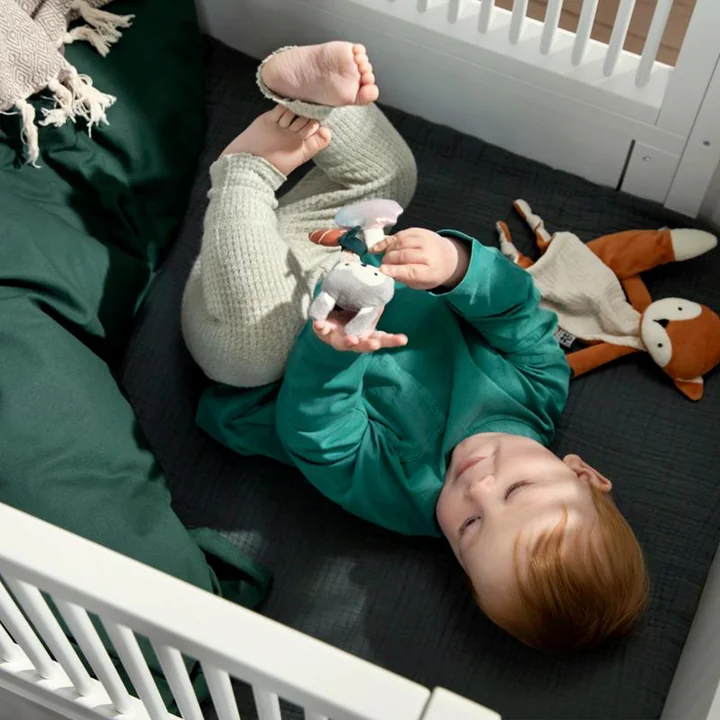 Activity rattle from Sebra