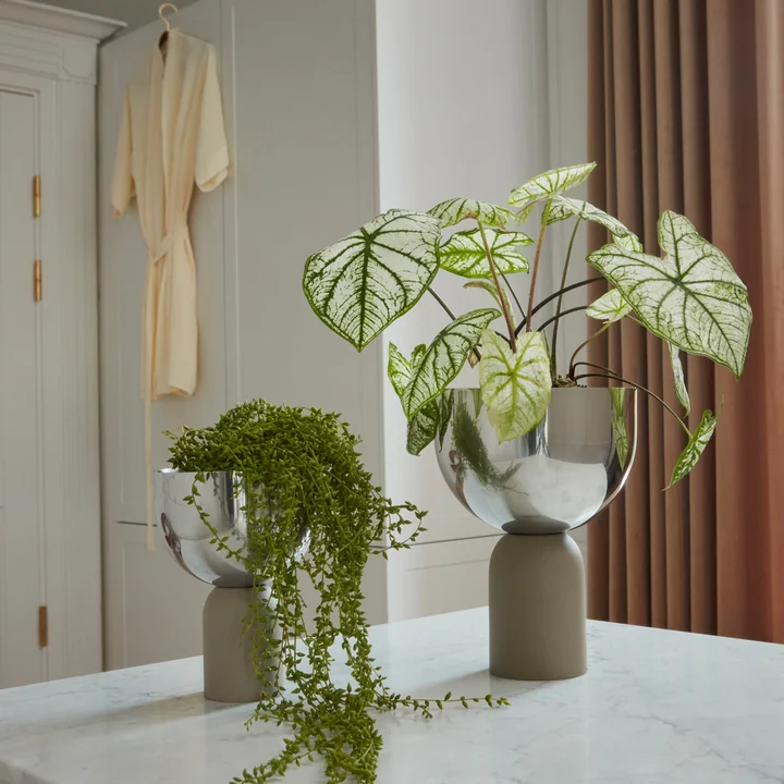 Torus Flower pot from AYTM