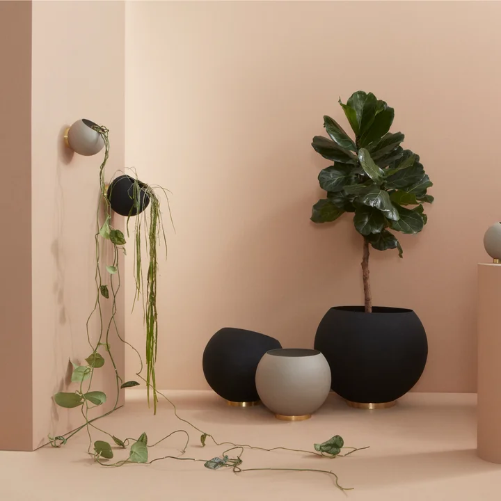 Globe Wall flower pot from AYTM