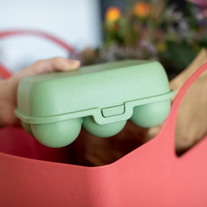 Eggs to go Reusable egg container mini, nature leaf green from Koziol