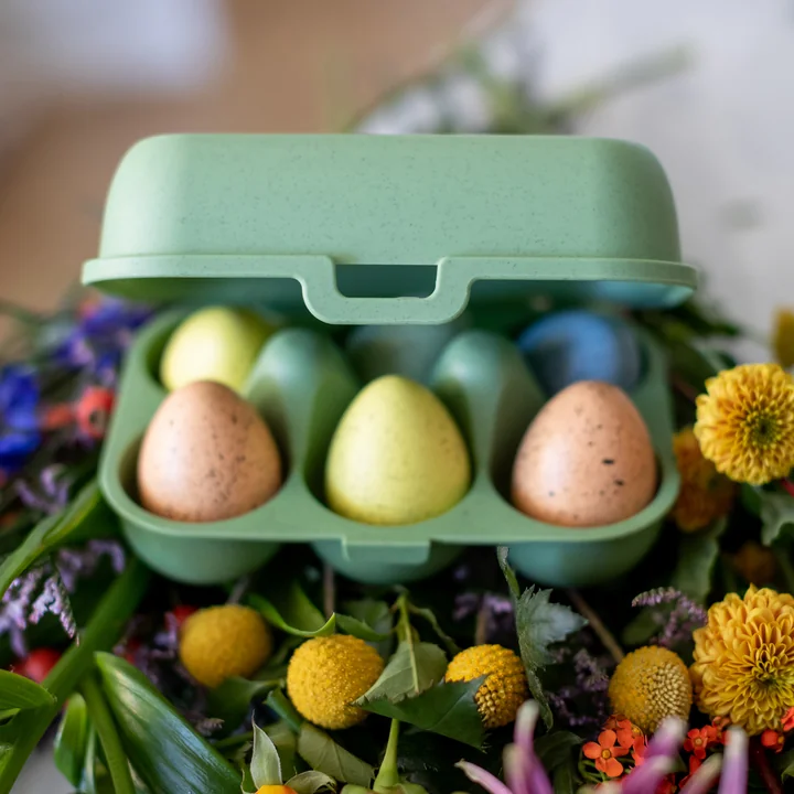 Eggs to go Reusable egg container mini, nature leaf green from Koziol