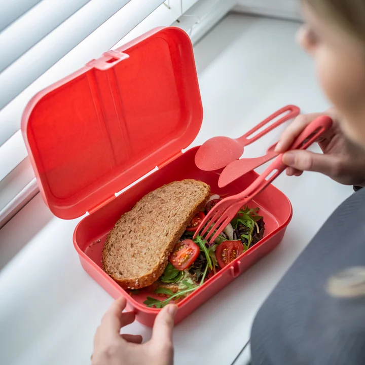 Pascal L Lunchbox with divider, nature coral from Koziol