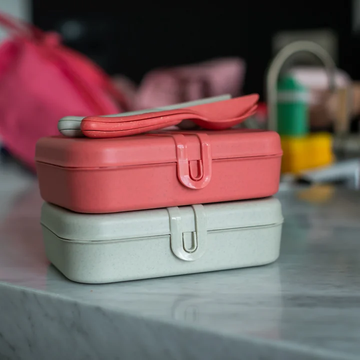 Pascal L lunch box with divider, nature coral and nature desert sand from Koziol