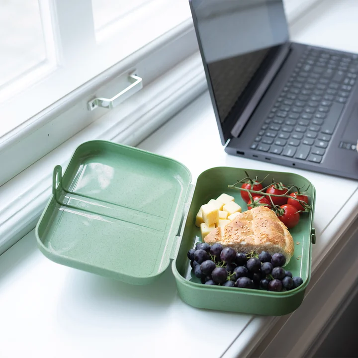 Pascal L Lunchbox with divider, nature leaf green from Koziol
