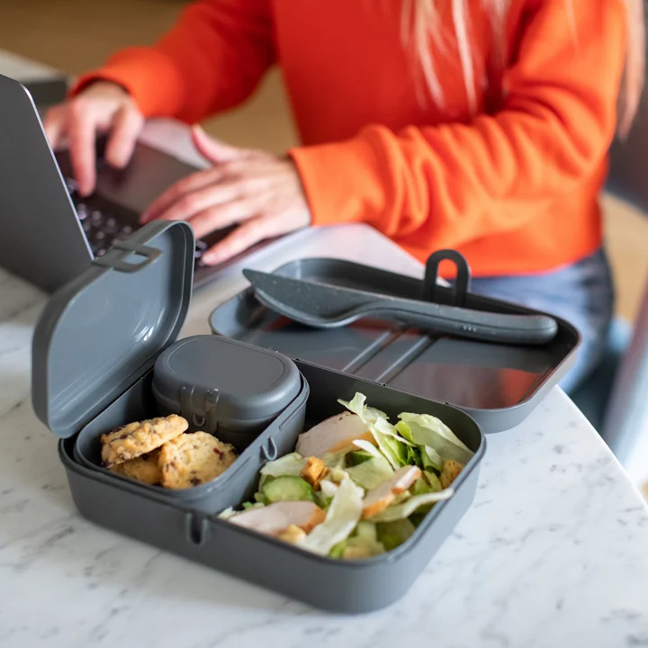 Pascal Ready Lunchbox Set with Klikk Cutlery, nature ash grey by Koziol