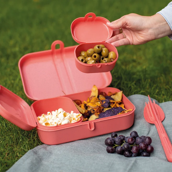 Pascal Ready Lunchbox Set with Klikk Cutlery, nature coral by Koziol
