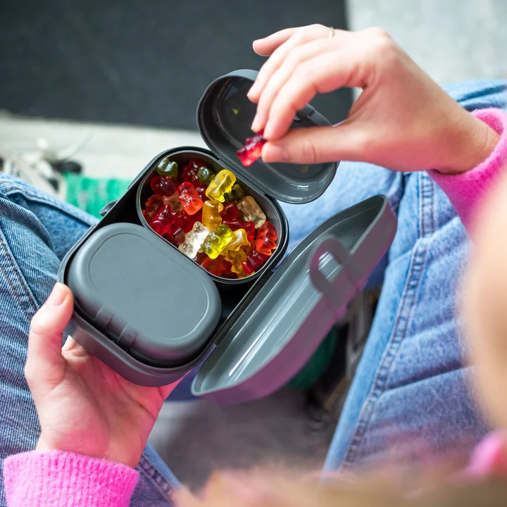 Pascal Ready Mini Lunchbox Set, nature ash grey by Koziol