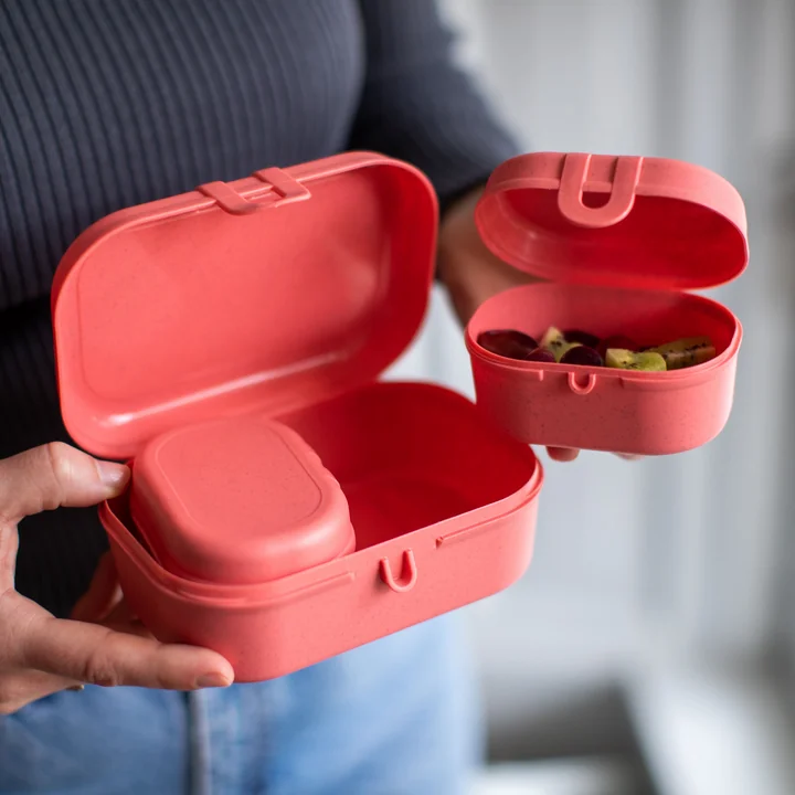 Pascal Ready Mini Lunchbox Set, nature coral by Koziol